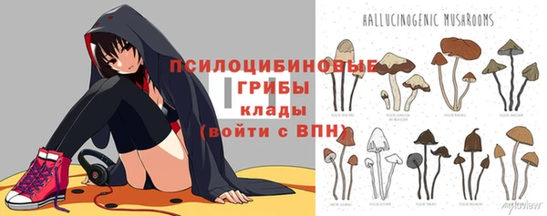 таблы Верхний Тагил