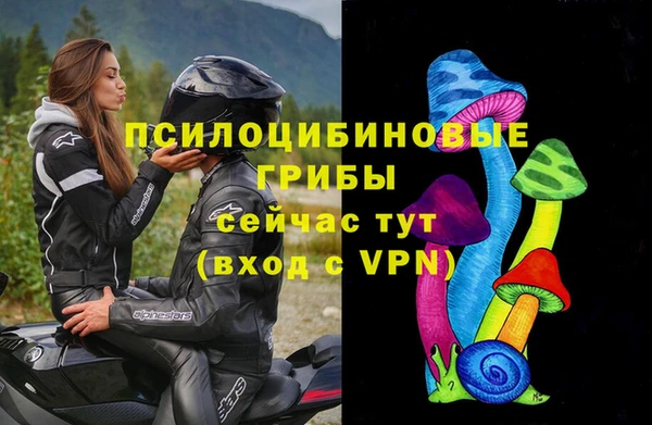 jwh Верея