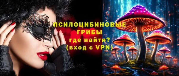 таблы Верхний Тагил