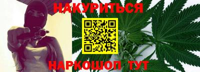 крисы Моздок