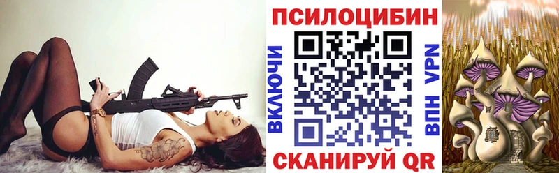 даркнет состав  мега сайт  Мончегорск  Псилоцибиновые грибы мицелий 