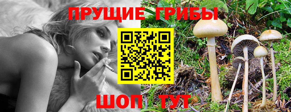 Галлюциногенные грибы Psilocybine cubensis  Галлюциногенные грибы MAGIC MUSHROOMS  Вход с VPN  Мончегорск 